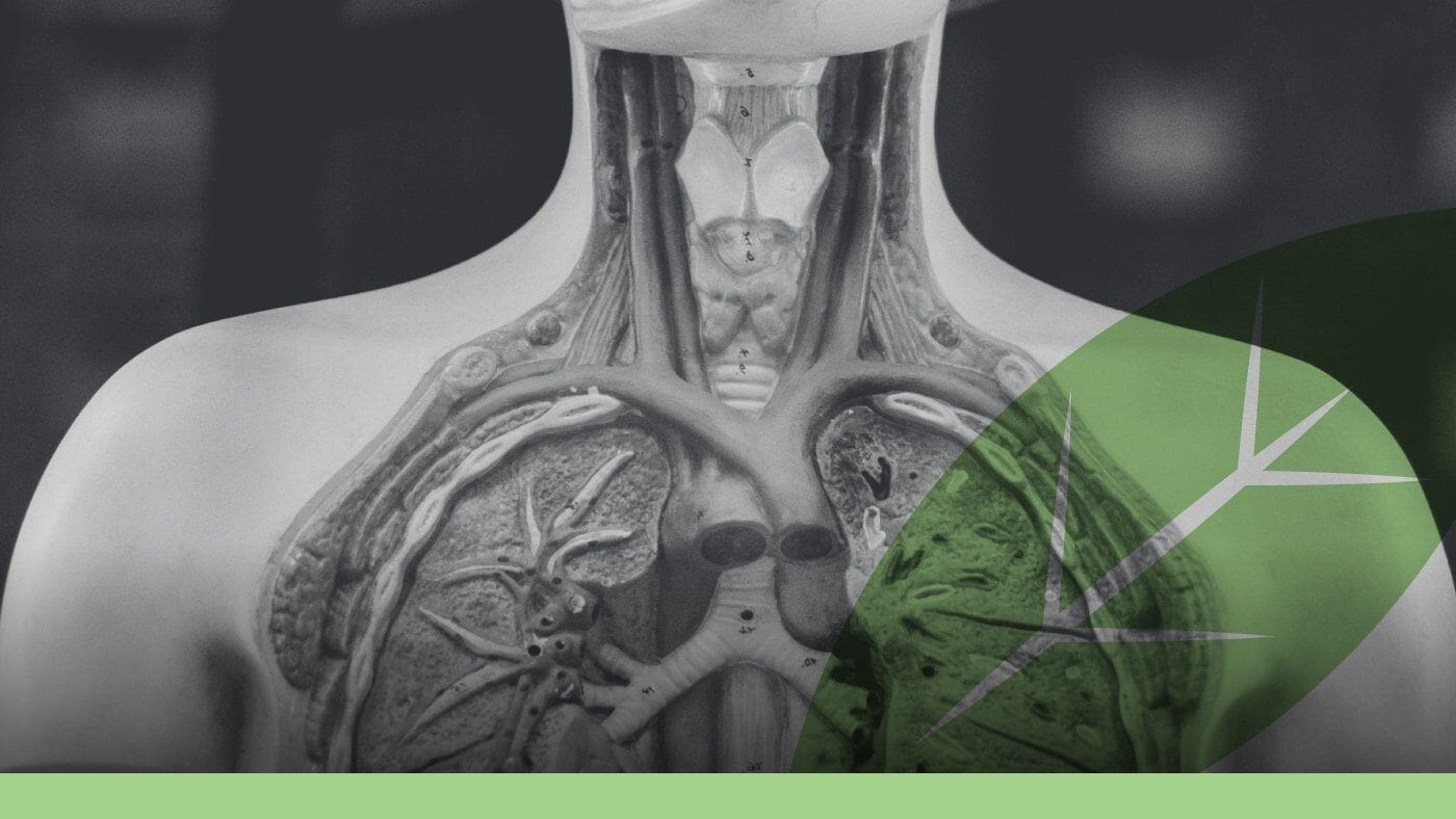 What is the endocannabinoid system and how does it work with cbd