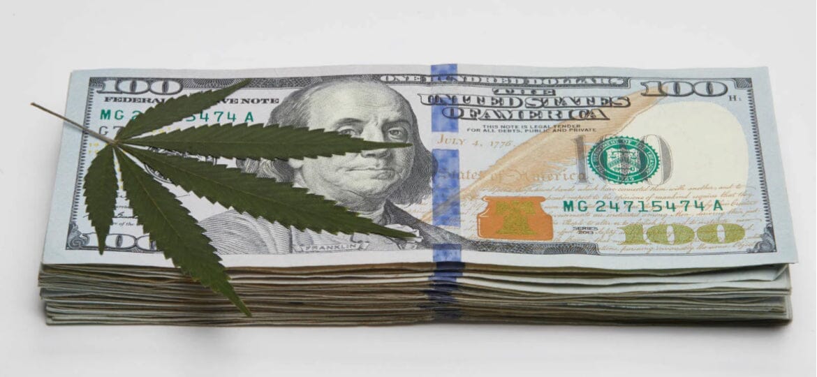 Is Organic CBD Oil Worth The Extra Cost?