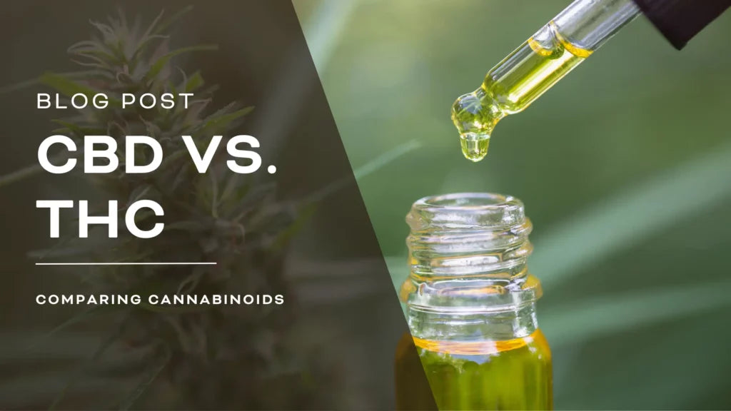 CBD vs. THC: What's the Difference and Which is Right for You?