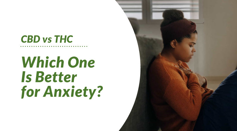CBD for Anxiety: How Effective is it and How Should You Use it?