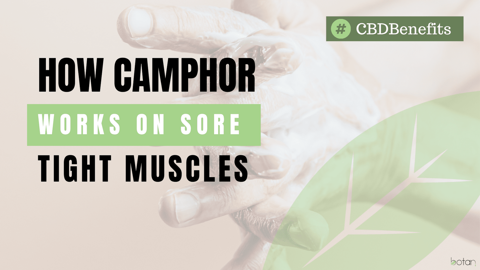 cbd pain cream 1000mg 5000mg camphor