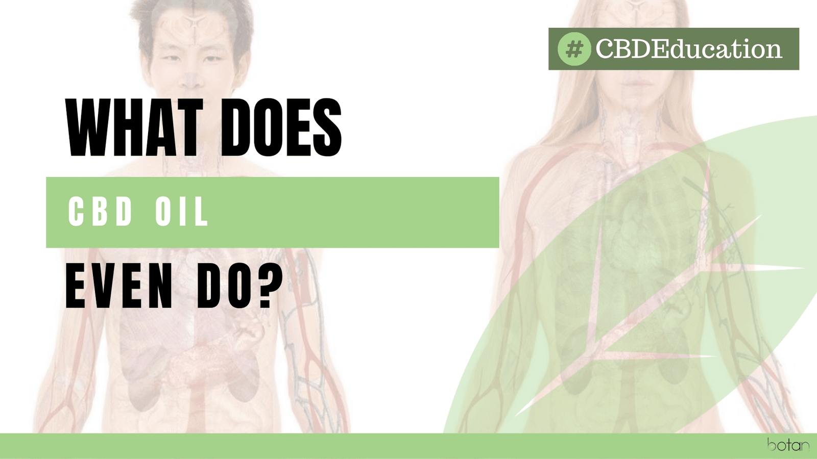 What-does-CBD-oil-drops-do