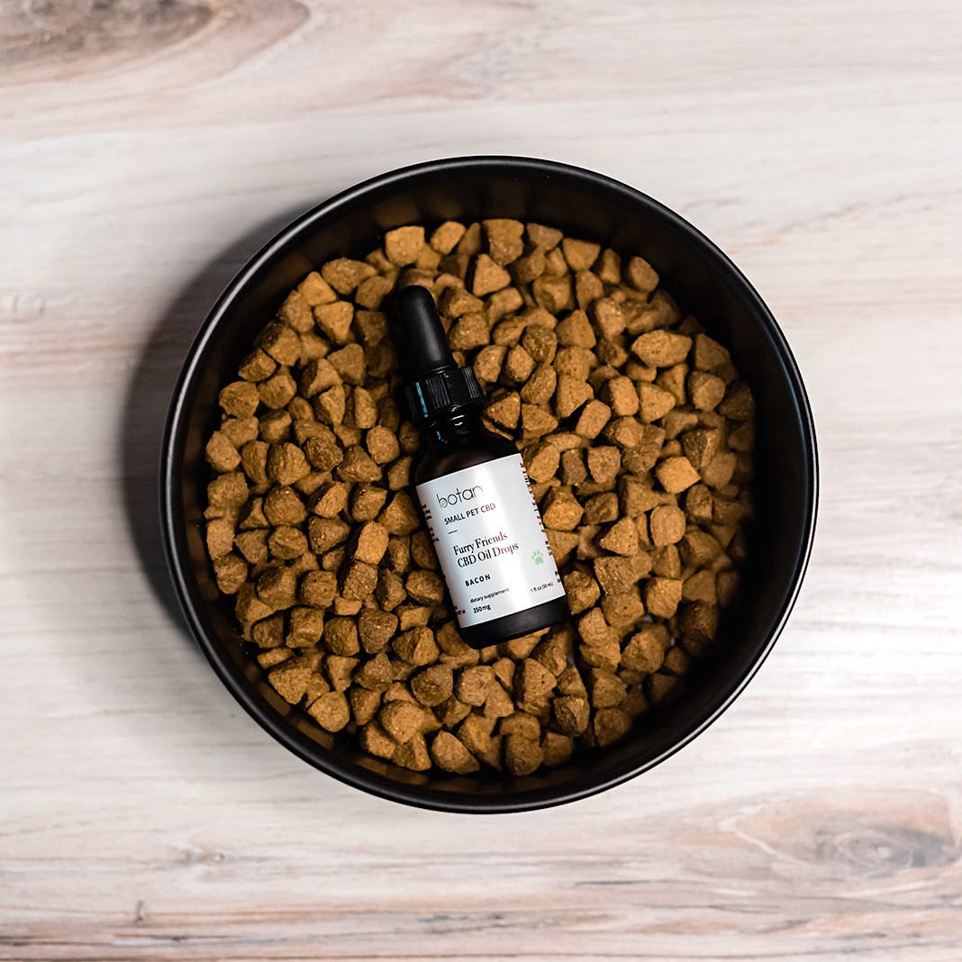100% Organic CBD Oil for Dogs
