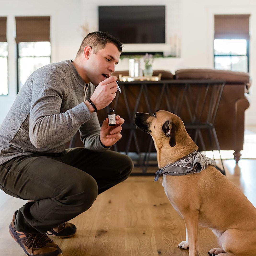 100% Organic CBD Oil for Dogs