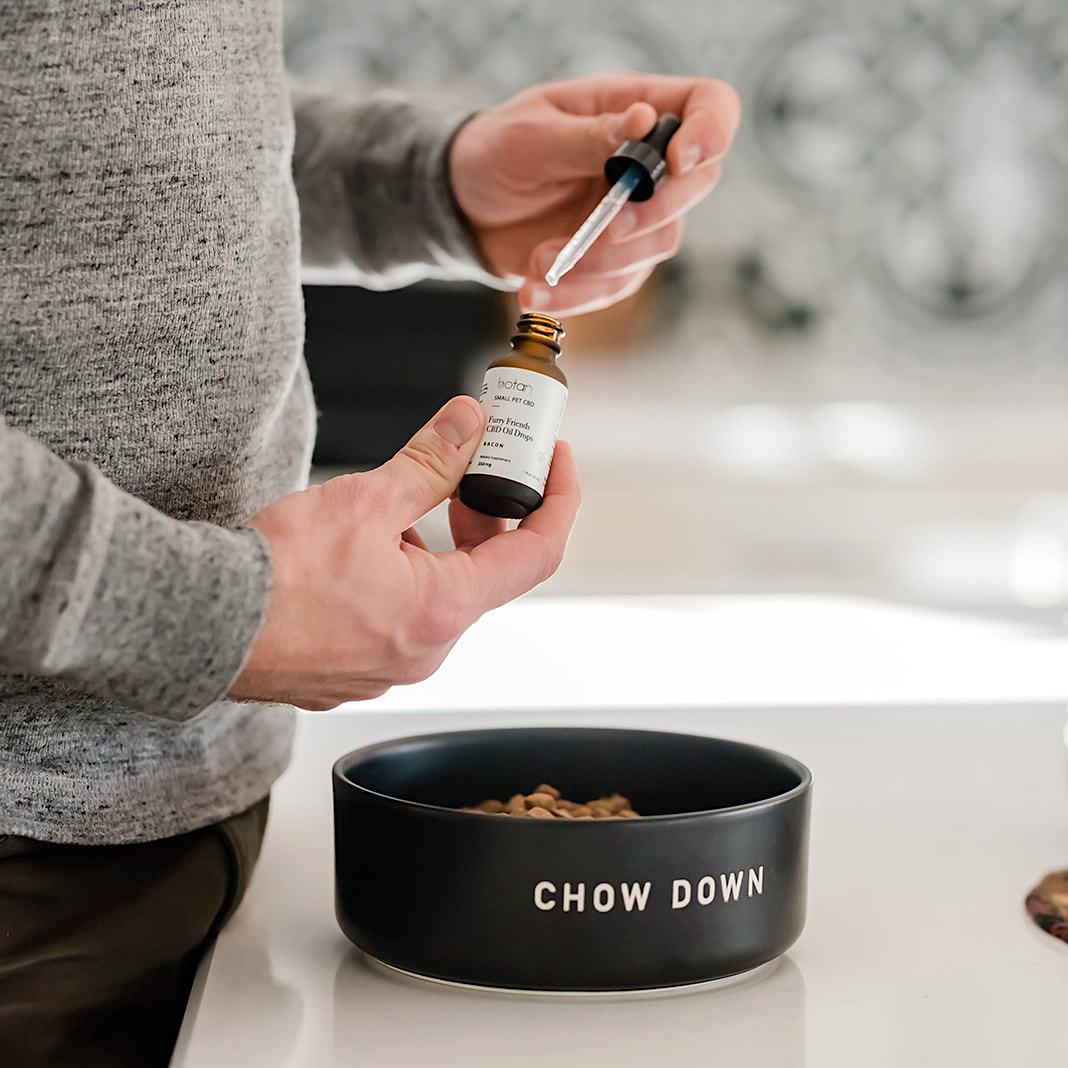 100% Organic CBD Oil for Dogs and Cats