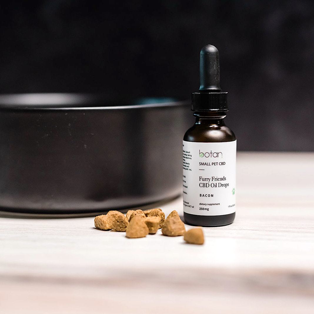 100% Organic CBD Oil for Dogs